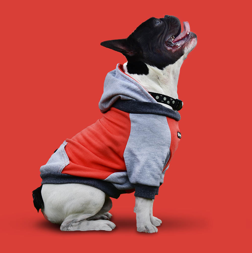 Ropa perro Colors hoodie mini GORDOGS bulldog