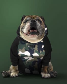 Buzo Saco hoodie camuflado para perros bulldogs army