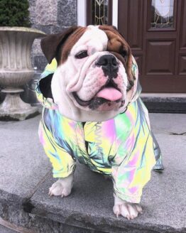 chaqueta reflectiva reflectante gordogs pupreme rtx rompevientos para perro