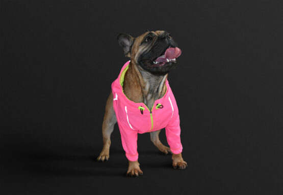 Bulldog Frances Chaqueta rompevientos reflectiva neon marca gordogs para perros siete tallas