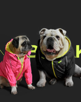 Bulldog ingles y pug con Chaqueta rompevientos reflectiva neon marca gordogs para perros siete tallas