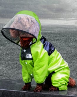 Enterizo Impermeable para lluvia dogface by gordogs ropa para perros capa de lluvia