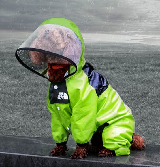 Enterizo Impermeable para lluvia dogface by gordogs ropa para perros capa de lluvia